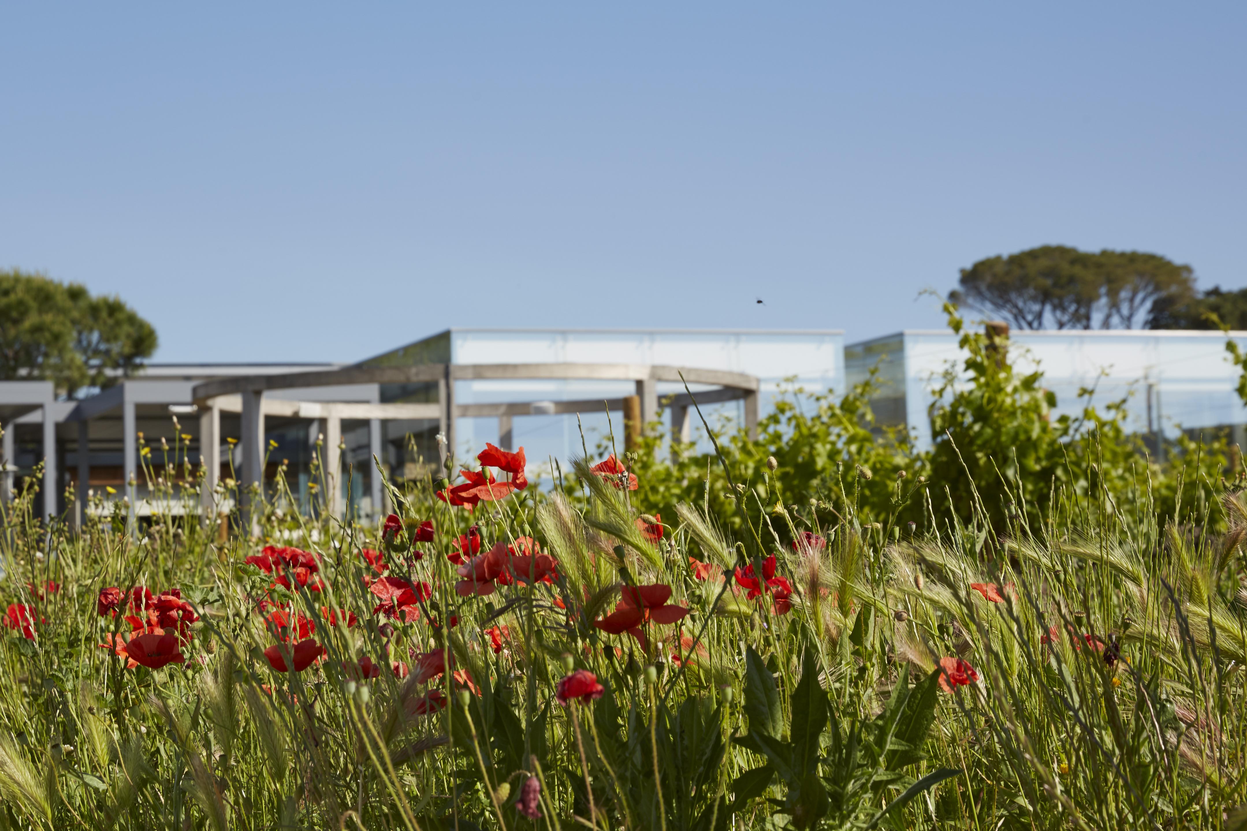 Hotel Domaine De Verchant & - Relais & Chateaux Castelnau-le-Lez